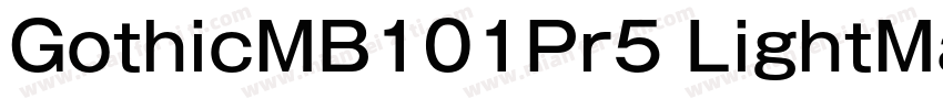 GothicMB101Pr5 LightMaruFoPro Regul字体转换